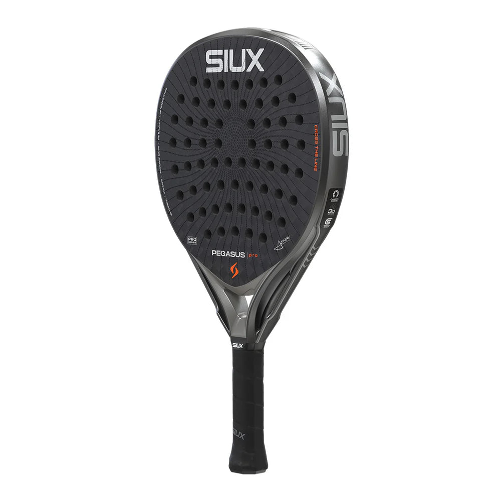 Siux Pegasus Pro 2026 Storm Gray