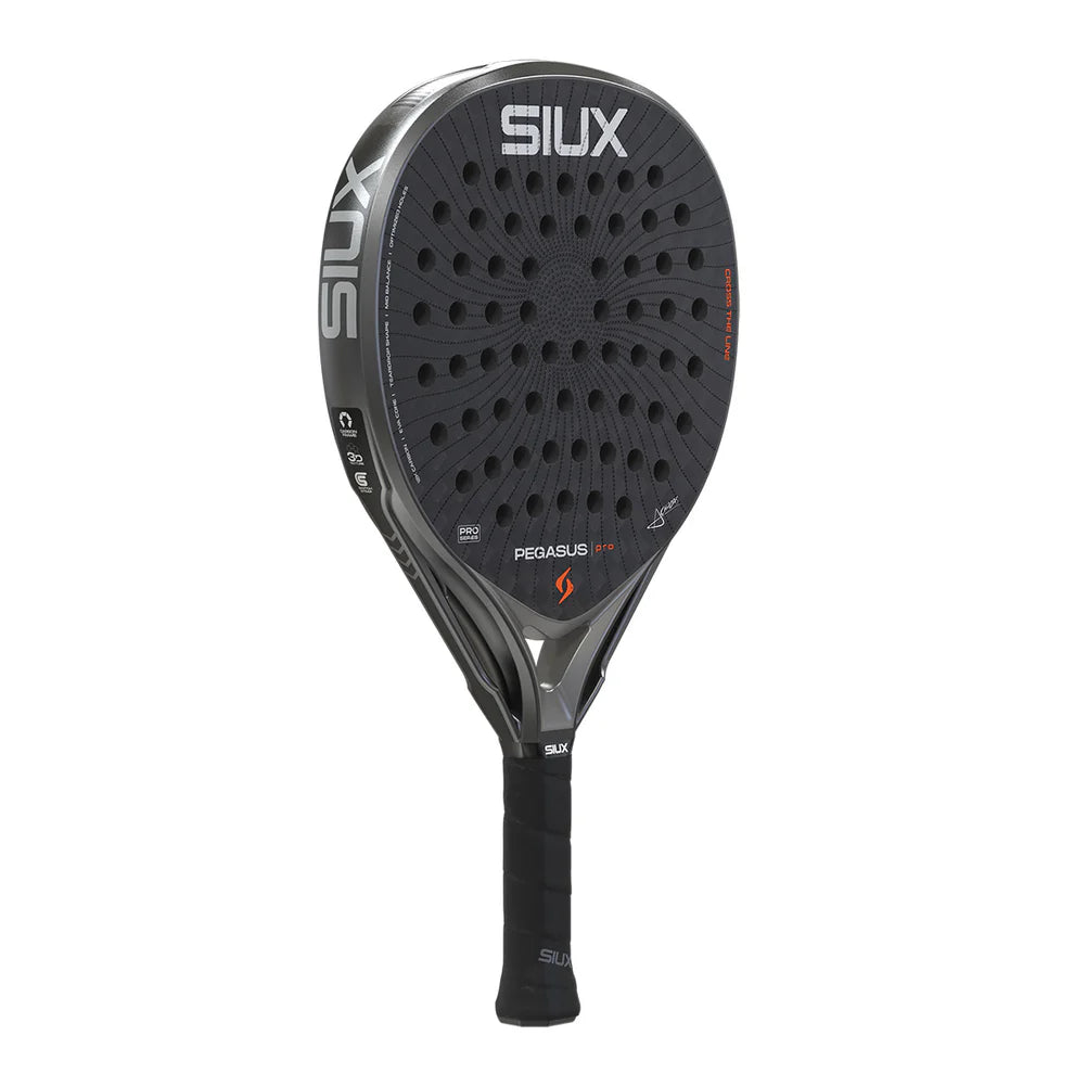 Siux Pegasus Pro 2026 Storm Gray