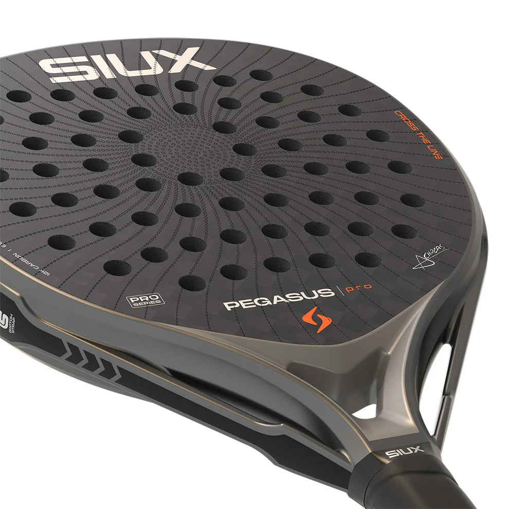 Siux Pegasus Pro 2026 Storm Gray