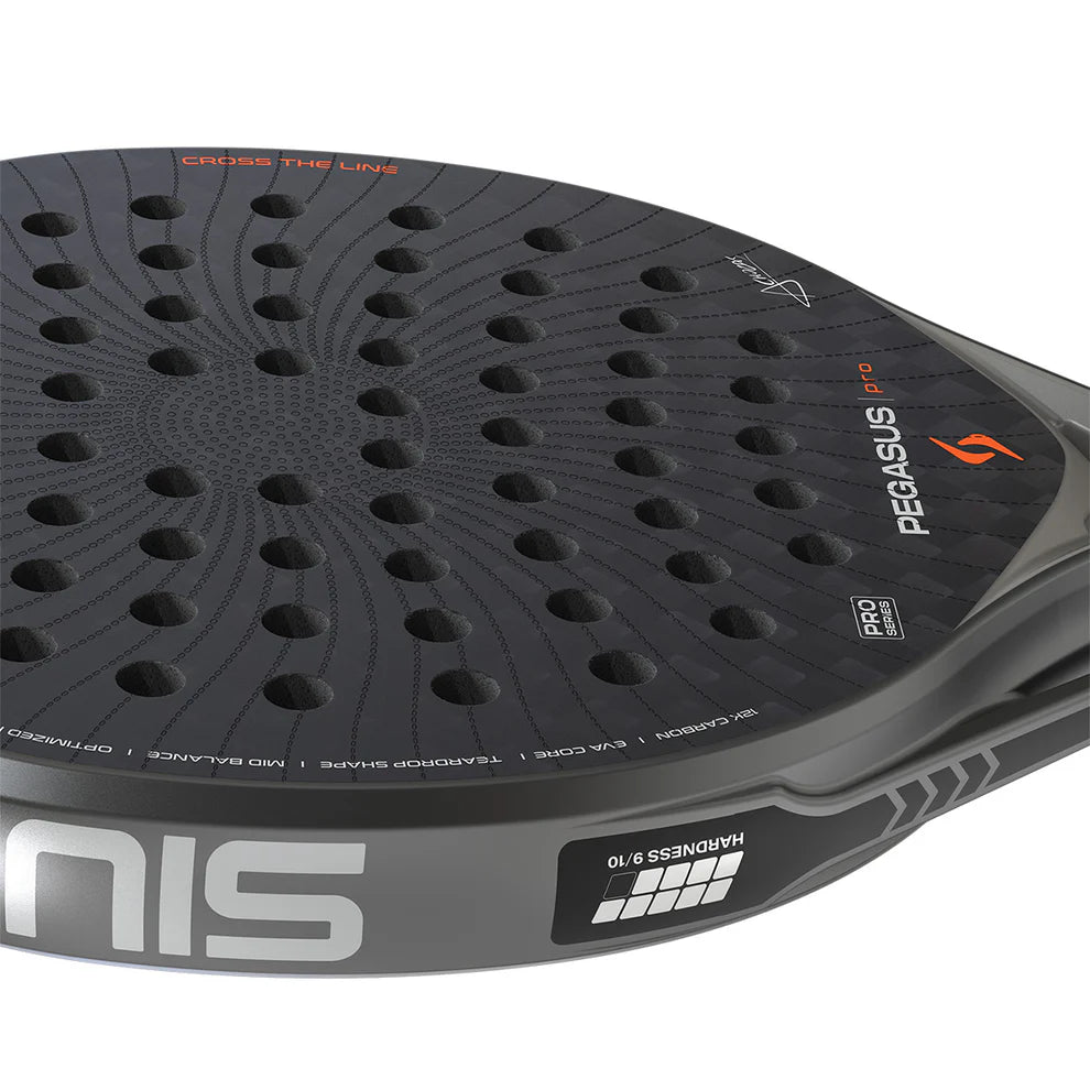 Siux Pegasus Pro 2026 Storm Gray