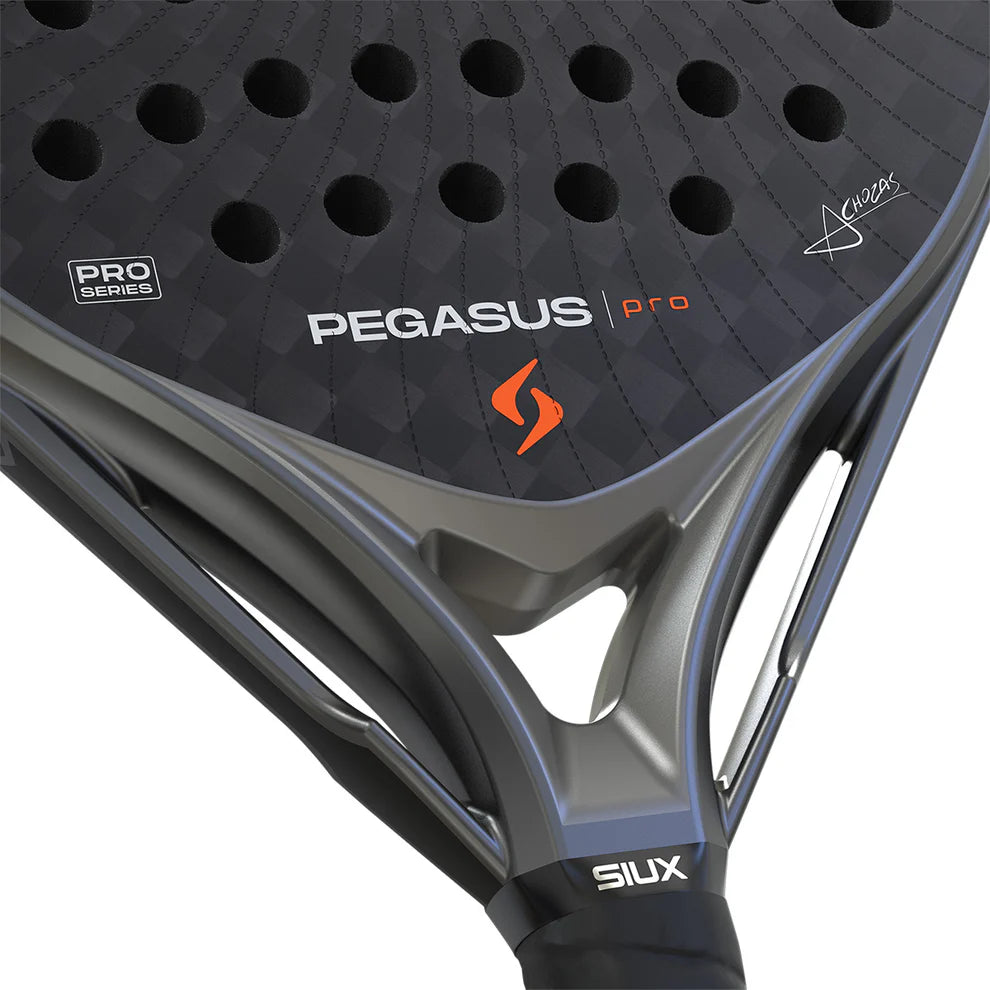 Siux Pegasus Pro 2026 Storm Gray