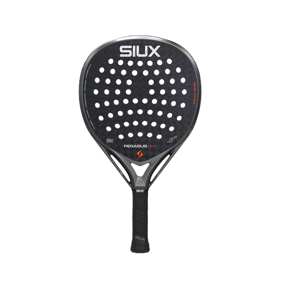 Siux Pegasus Pro 2026 Storm Gray